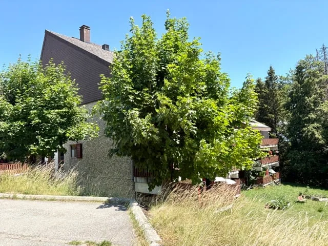 Affascinante appartamento di 3,5 locali arredato a St-Cergue con vista e balcone
