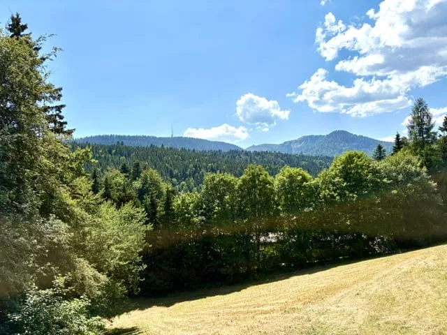 Charmant appartement de 3.5 pièces meublé à St-Cergue avec vue et balcon