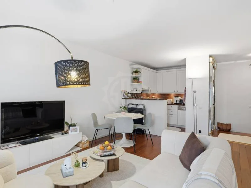 Pleasant Apartment - Geneva