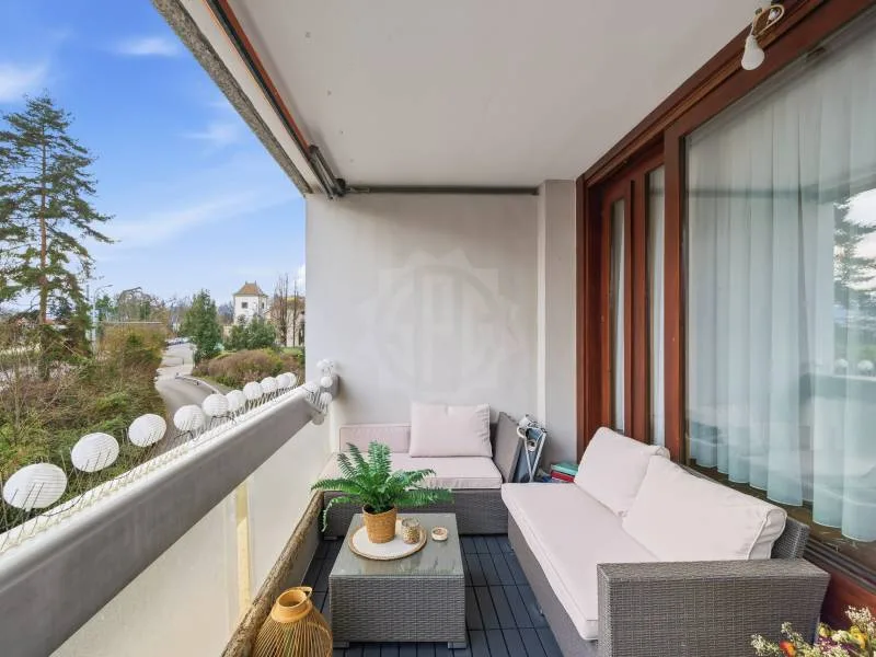 Pleasant Apartment - Geneva