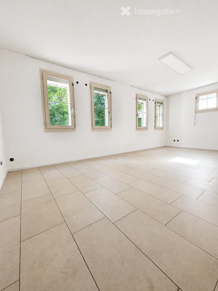 Doppeleinfamilienhaus in Dänikon ZH