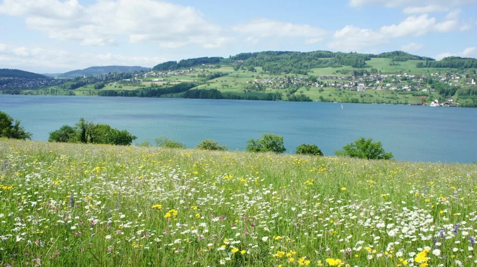 Exklusive Seeresidenz am Hallwilersee mit geschützter Aussichtslage