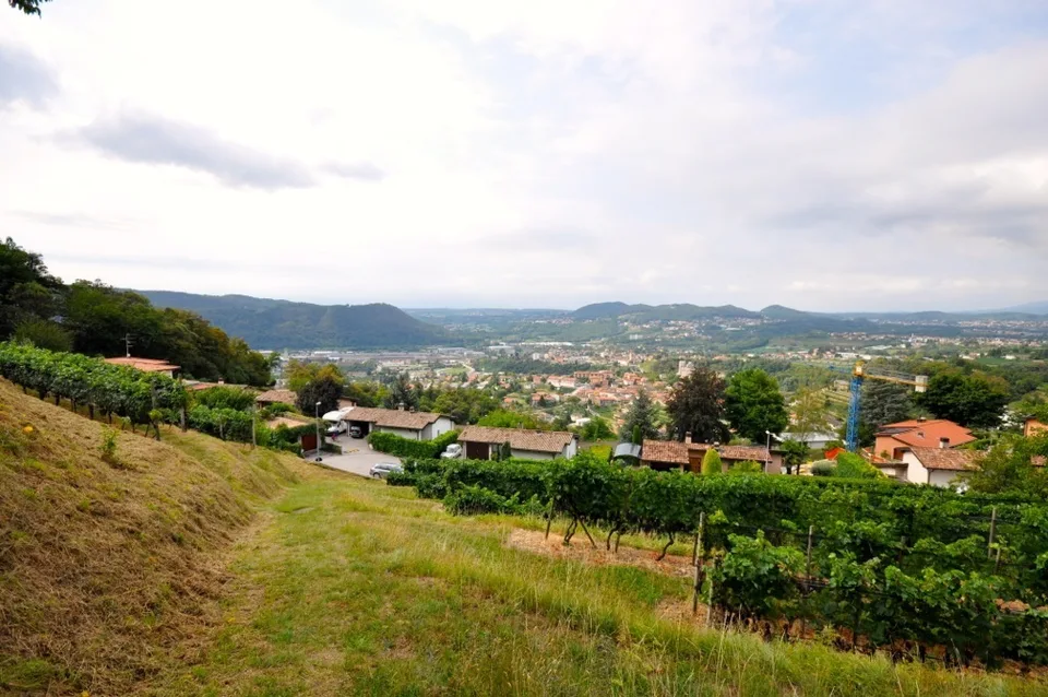 Terreno Edificabile 2'283 mq con Vista Panoramica a Morbio Superiore