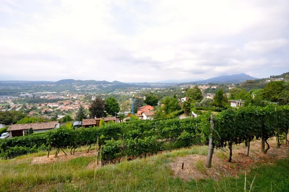 Terreno Edificabile 2'283 mq con Vista Panoramica a Morbio Superiore