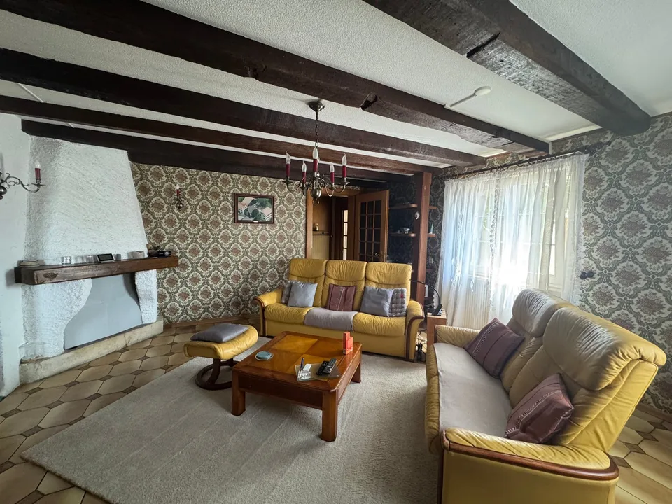 House with 5 rooms on a beautiful plot of 8.29 ares – photo 3 of 19