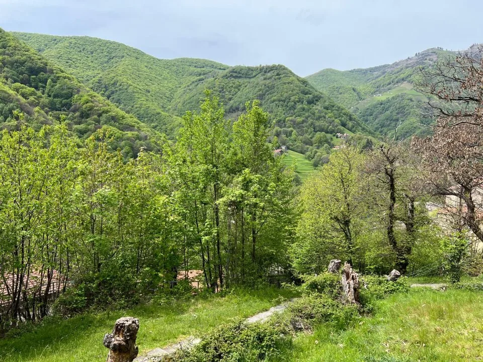 Terreno di 1'870 mq in posizione rialzata e soleggiata