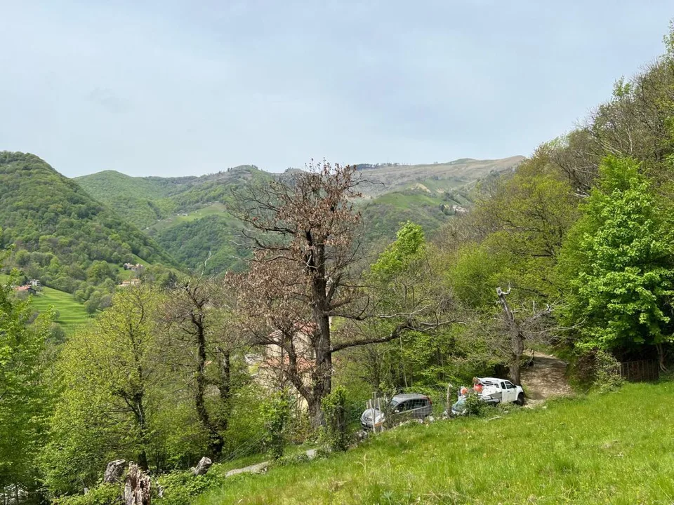 Terreno di 1'870 mq in posizione rialzata e soleggiata