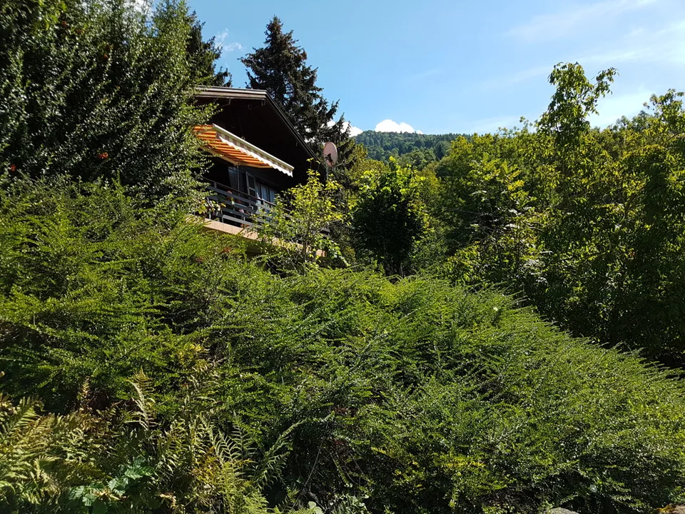 Holiday Home Near Basel – photo 7 of 12