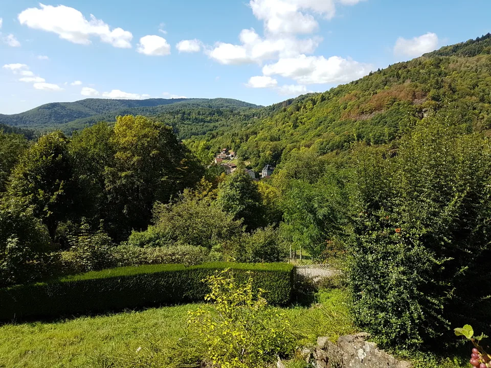 Holiday Home Near Basel – photo 10 of 12