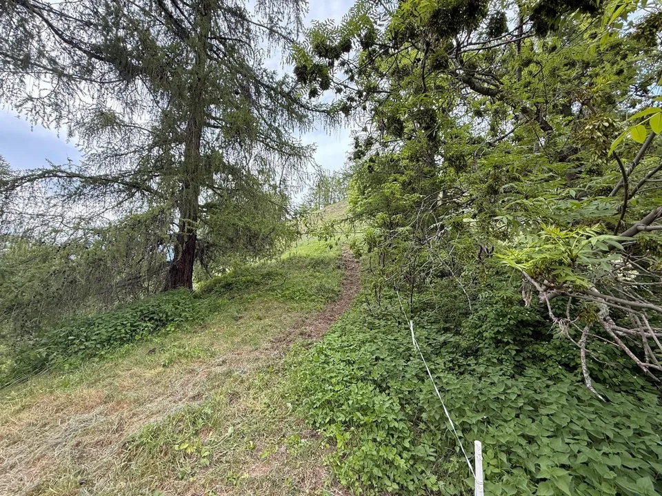 Zwei schöne Parzellen in ruhiger Lage