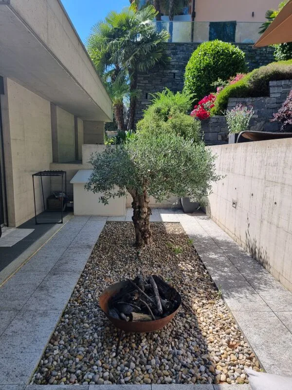 Charmante Penthouse-Wohnung 4,5 Zimmer, Panoramaterrassen, Komfort und Stil – Foto 10 von 12