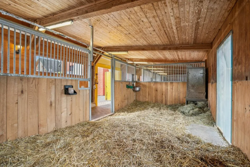 *NEW PRICE* - FRESHLY RENOVATED RESIDENTIAL HOUSE WITH RIDING ARENA, ROUNDPEN AND LARGE PASTURE AREAS – photo 10 of 18