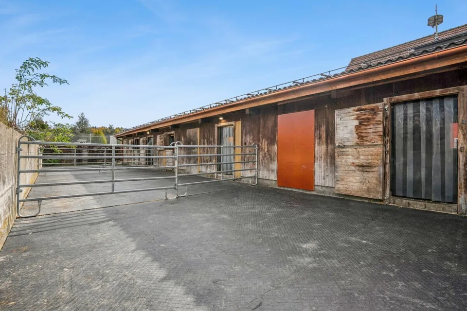 *NEW PRICE* - FRESHLY RENOVATED RESIDENTIAL HOUSE WITH RIDING ARENA, ROUNDPEN AND LARGE PASTURE AREAS – photo 11 of 18