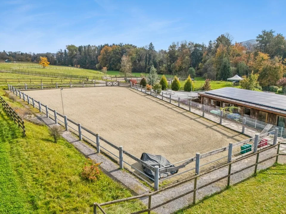 *NEW PRICE* - FRESHLY RENOVATED RESIDENTIAL HOUSE WITH RIDING ARENA, ROUNDPEN AND LARGE PASTURE AREAS – photo 8 of 18
