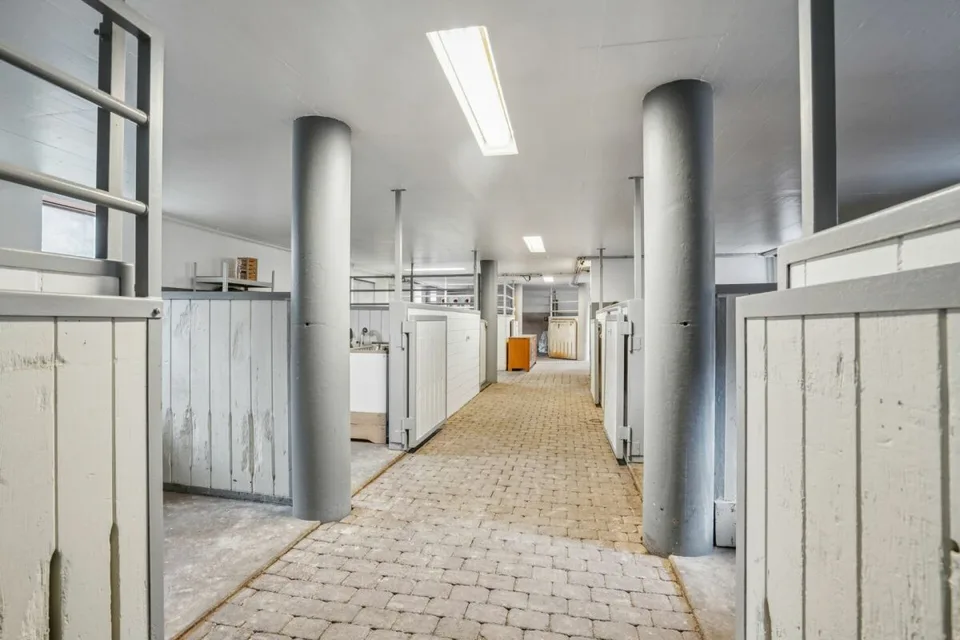 *NEW PRICE* - FRESHLY RENOVATED RESIDENTIAL HOUSE WITH RIDING ARENA, ROUNDPEN AND LARGE PASTURE AREAS – photo 12 of 18