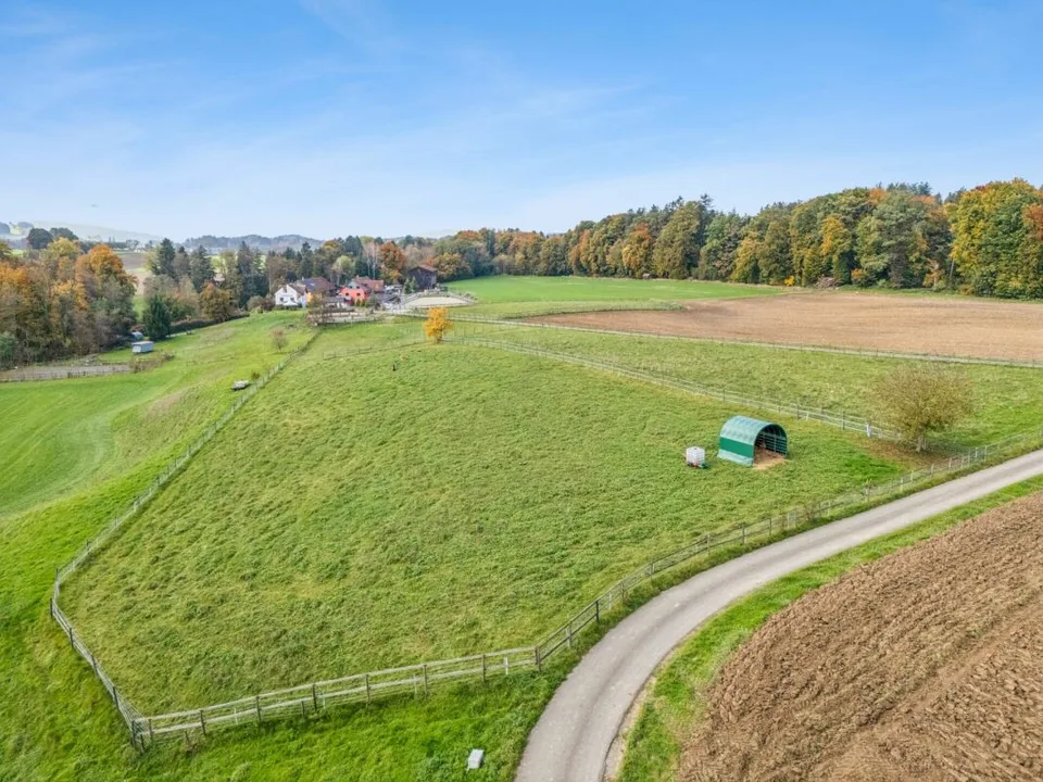 *NEW PRICE* - FRESHLY RENOVATED RESIDENTIAL HOUSE WITH RIDING ARENA, ROUNDPEN AND LARGE PASTURE AREAS – photo 9 of 18