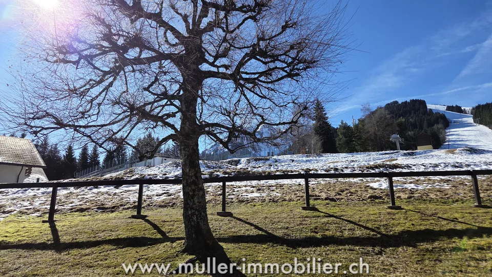 2.5 Zimmer Wohnung in Torgon – Foto 12 von 13