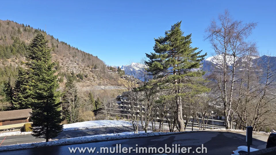 2.5 Zimmer Wohnung in Torgon – Foto 11 von 13