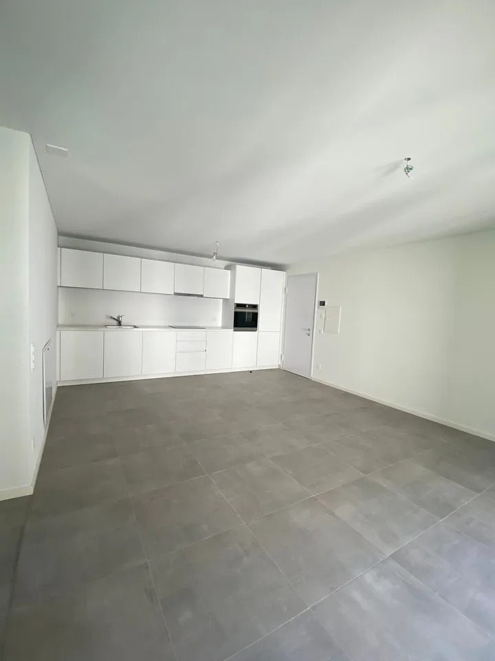 APP n 11 Charming 3-Room Apartment with Mountain Views in Iragna