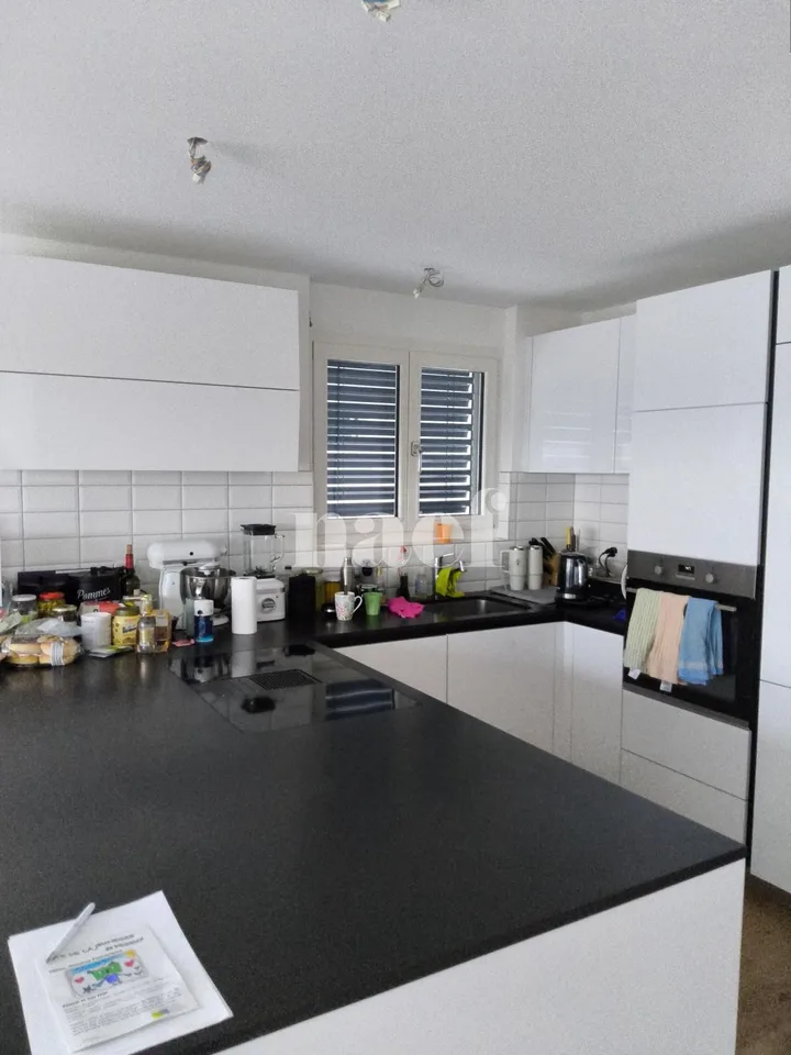 Meraviglioso appartamento di 4,5 locali con vista sul lago
