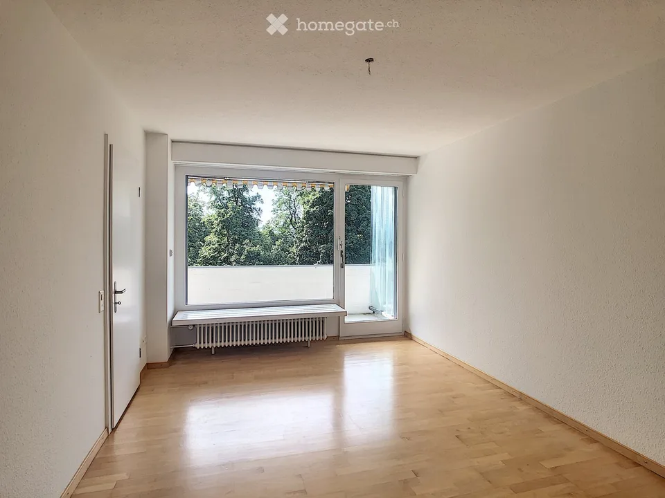 Ampio appartamento di 5,5 locali con balcone e camino a Zürich Witikon