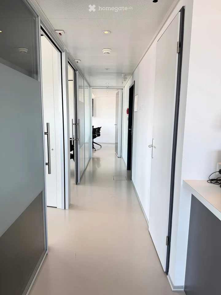 Bureau d'exception à Genève — immense terrasse, vue Jet d'Eau, clé en main, mobilier disponible