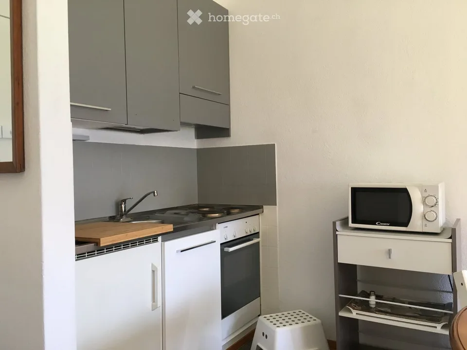 Zweizimmerwohnung eingerichtet mit Seeblick