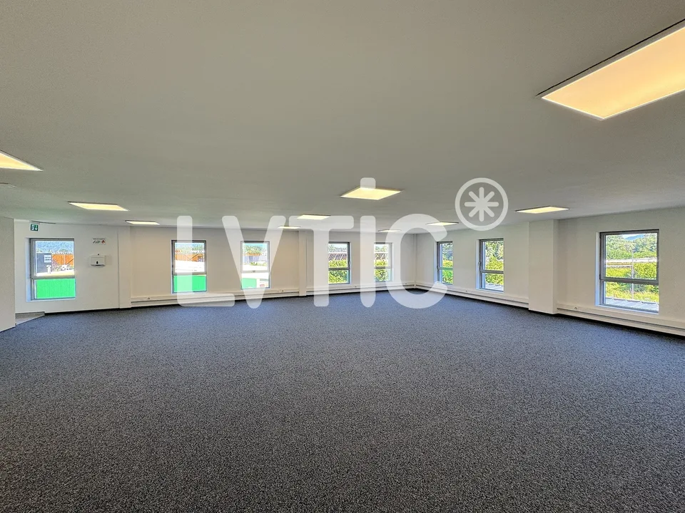 Büros, Lokale von 166 m2 zur Miete in Villeneuve - Rennaz