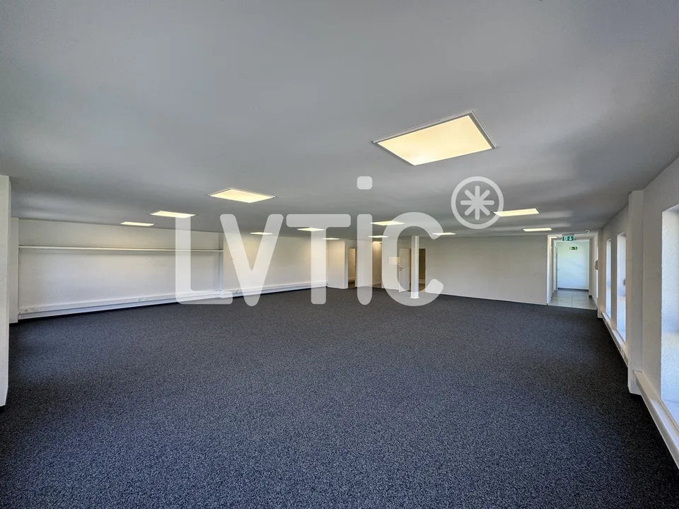 Büros, Lokale von 166 m2 zur Miete in Villeneuve - Rennaz