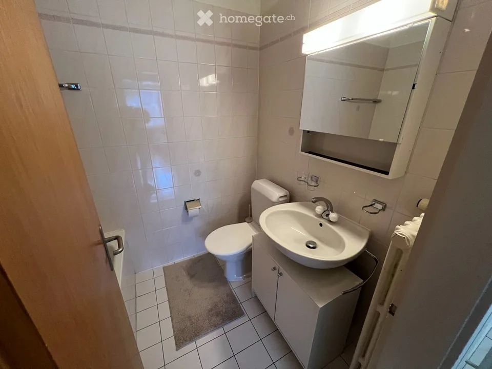 Schönes 3.5-Zimmer-Apartment in Arbedo