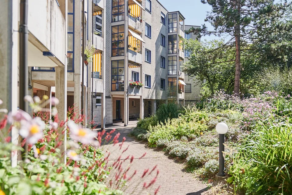 Helle Büroräumlichkeiten in Zürich-Albisrieden