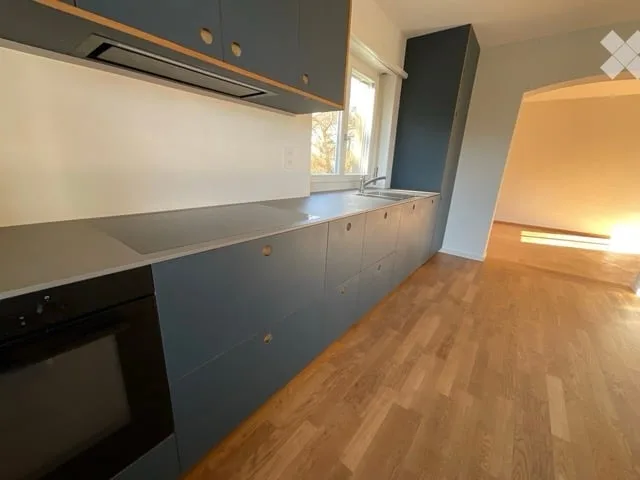 Charmantes, renoviertes Einfamilienhaus im Schöngrundquartier Olten