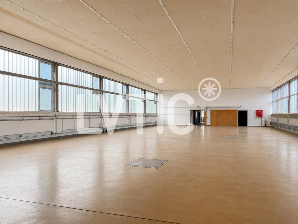 Halle, Lager von 1240 m2 teilbar zu vermieten in Saint-Sulpice