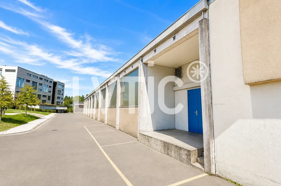 Halle, Lager von 1240 m2 teilbar zu vermieten in Saint-Sulpice