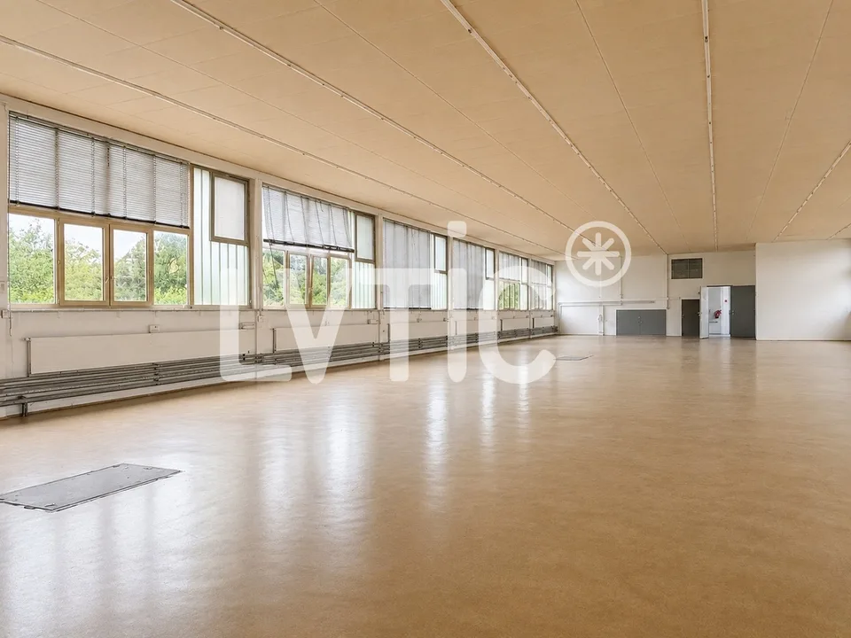 Halle, Lager von 1240 m2 teilbar zu vermieten in Saint-Sulpice