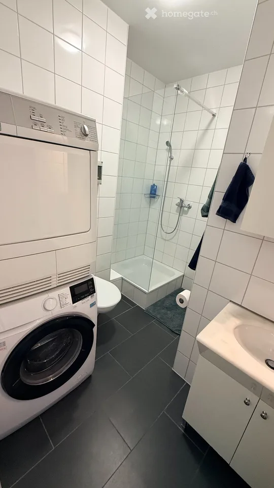 À mieten Übernahme des Mietvertrags Whg 2 Zimmer Ouchy-Lausanne 1006