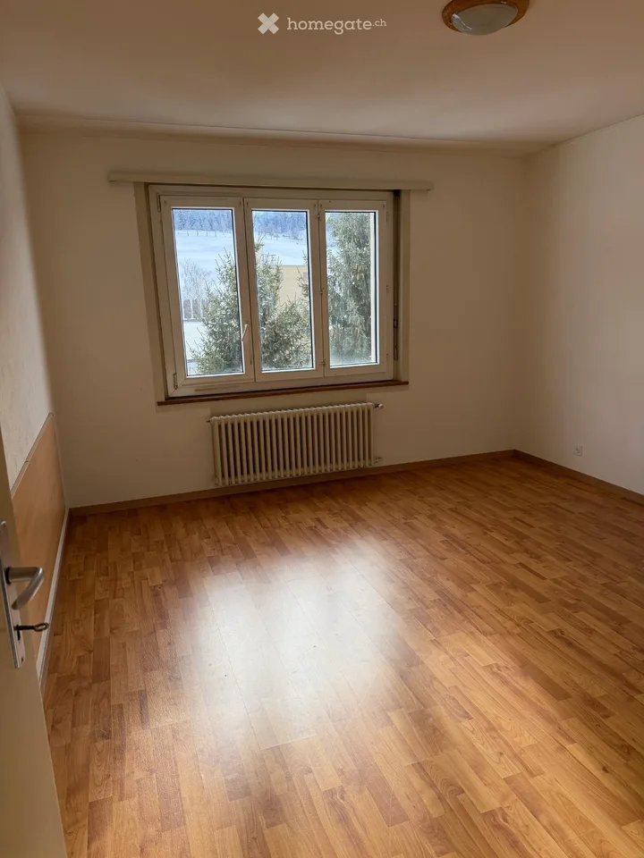 Helles 4-Zimmer-Apartement