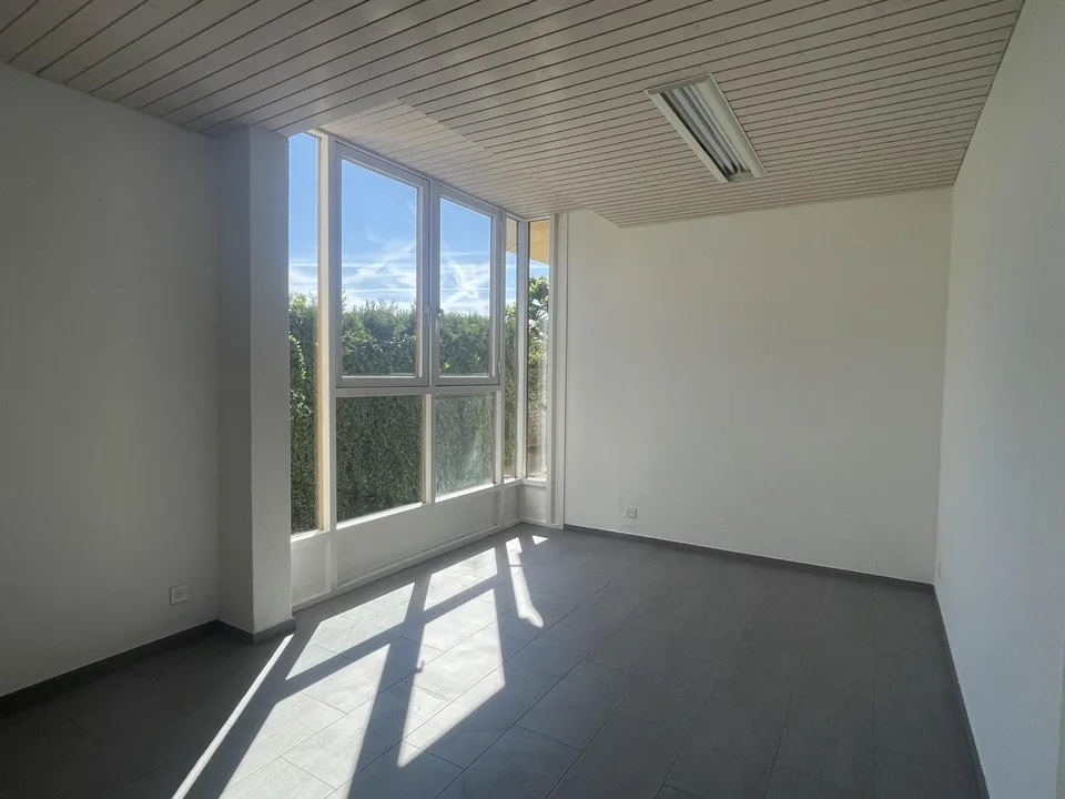 À LOUER ? BUREAU / LOCAL PROFESSIONNEL À BOGIS-BOSSEY