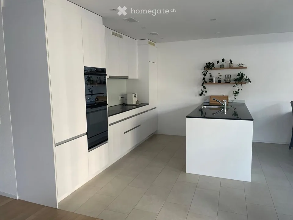 Grosszügige 4.5 Zimmer Wohnung im Mythenhof, Kanton Schwyz