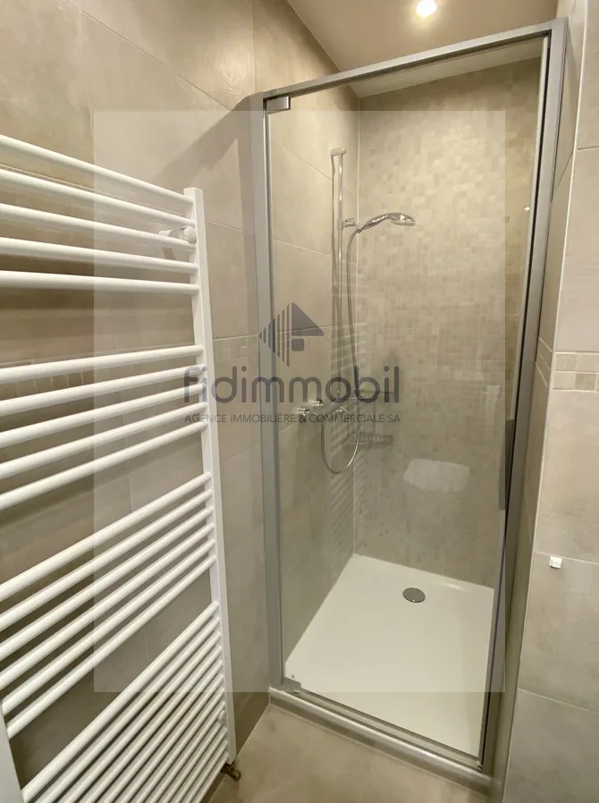 APARTMENT COMPLETELY RENOVATED WITH BREATHTAKING VIEW OF THE LAKE – photo 9 of 10
