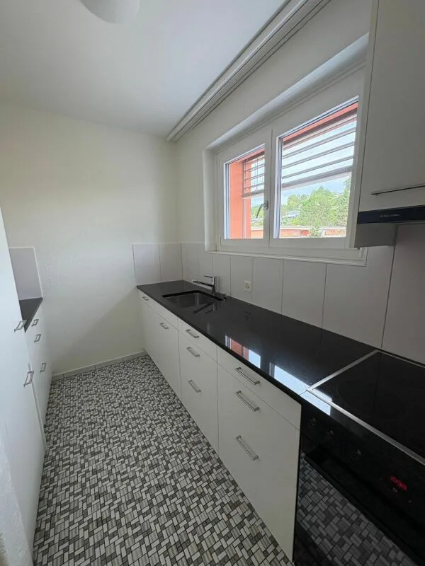 Dachterrassenwohnung mitten in Reinach mit Cheminée