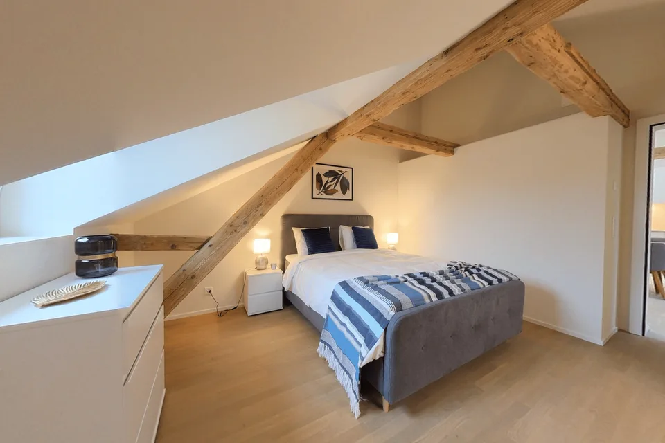 Stylish 1 bed apartment  -  Appartement 2.5 pièces avec cachet