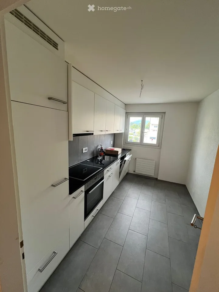3 pezzi in affitto ad AREUSE/NE, vicino al tram e al lago