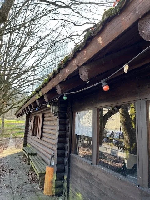 Idyllic log cabin in the green