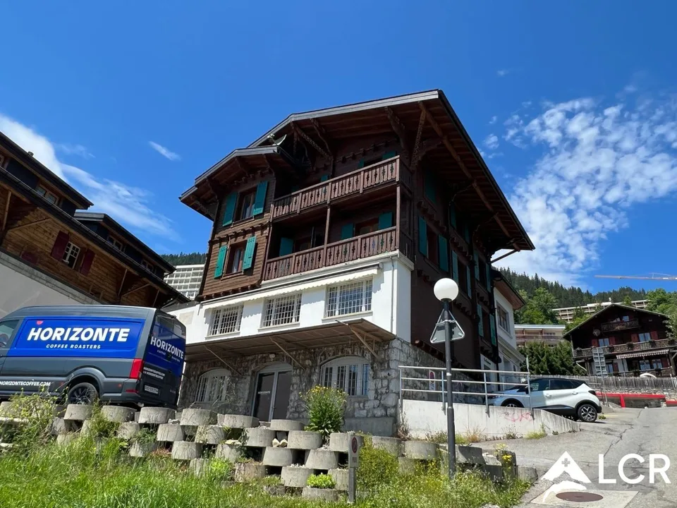 Bel immeuble / 2 Appartements et 2 commerces / rendement
