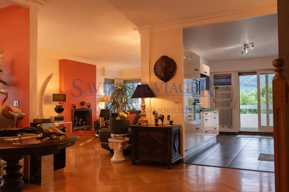 Très bel appartement avec terrasse sur le toit et vue à 360.