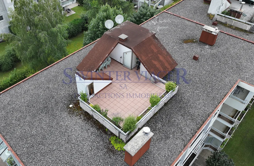Très bel appartement avec terrasse sur le toit et vue à 360.