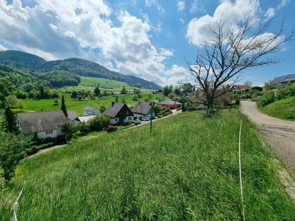 Grosses Baugrundstück mit Weitsicht in Bretzwil kaufen