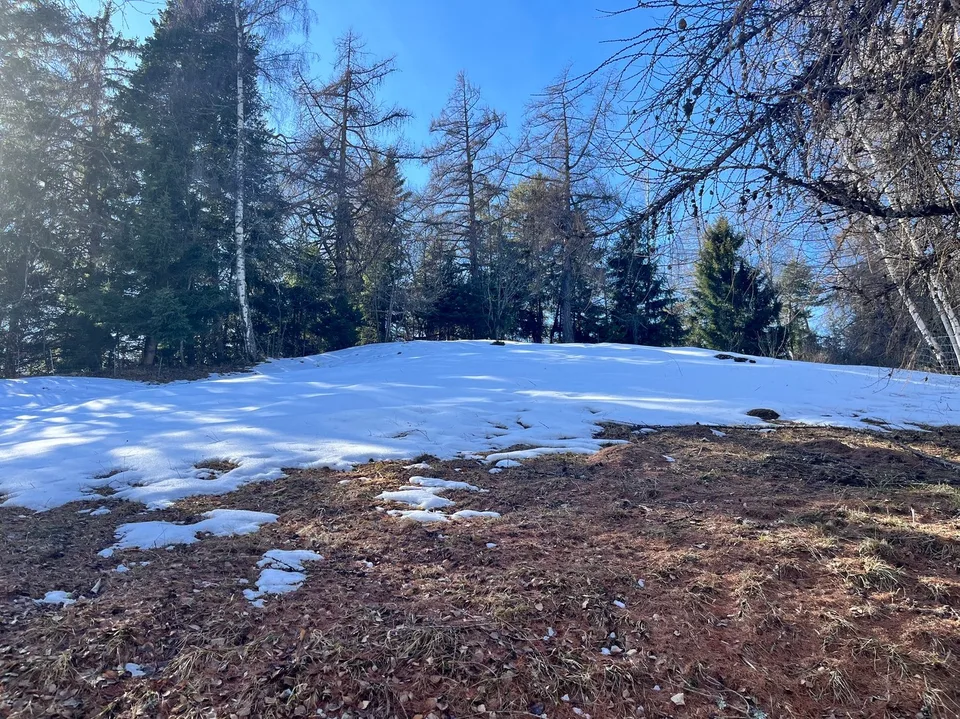 Terrain / 1'466 m2 / Mayens de Chamoson / Réf. 10265556 / EXCLUSIVITE