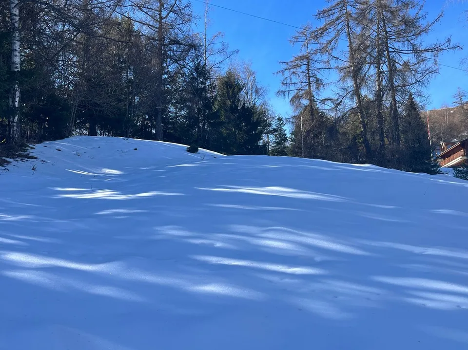 Terrain / 1'466 m2 / Mayens de Chamoson / Réf. 10265556 / EXCLUSIVITE